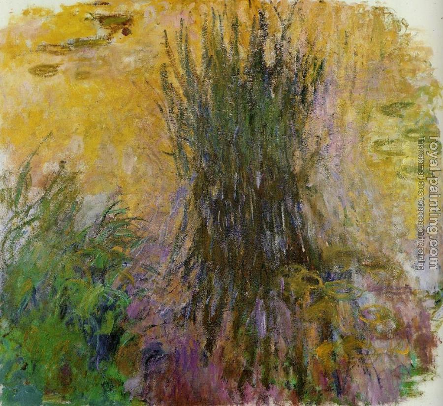 Claude Oscar Monet : Water Lilies